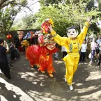 Caminhada no Brás celebra Festival Chongyang com cultura e solidariedade