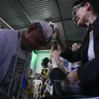 Festa de Cosme e Damio