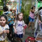 Festa de Cosme e Damio