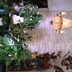 Anivers�rio do Dr Marcos Avallone