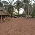 SOS Filhas do Pantanal e do Cerrado