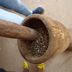 Mixurum dos Saberes Tradicionais das Quilombolas do �Mata Cavalo�.