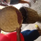 Mixurum dos Saberes Tradicionais das Quilombolas do �Mata Cavalo�.