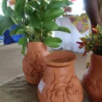 Feira Cultural Quilombola - Mata Cavalo de Cima