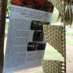 Feira Cultural Quilombola - Mata Cavalo de Cima