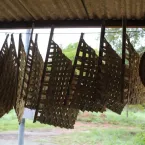 Feira Cultural Quilombola - Mata Cavalo de Cima
