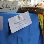 Feira Cultural Quilombola - Mata Cavalo de Cima