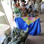 Feira Cultural Quilombola - Mata Cavalo de Cima