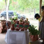 Feira Cultural Quilombola - Mata Cavalo de Cima