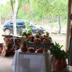 Feira Cultural Quilombola - Mata Cavalo de Cima
