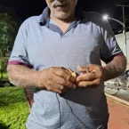 O legado de Joćo Guedes