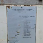 O legado de Joćo Guedes