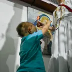 Tradi��o, f� e alegria marcam a Festa de Cosme e Dami�o no Centro Esp�rita Nossa Senhora do Carmo