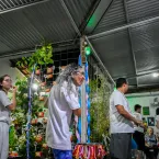 Tradi��o, f� e alegria marcam a Festa de Cosme e Dami�o no Centro Esp�rita Nossa Senhora do Carmo