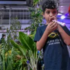 Tradi��o, f� e alegria marcam a Festa de Cosme e Dami�o no Centro Esp�rita Nossa Senhora do Carmo