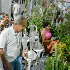 Tradi��o, f� e alegria marcam a Festa de Cosme e Dami�o no Centro Esp�rita Nossa Senhora do Carmo