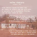 Poesias de Flozino Rocha da Silva: mem�ria, afeto e identidade de Torixor�u