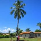 Poesias de Flozino Rocha da Silva: mem�ria, afeto e identidade de Torixor�u