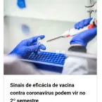 Boas Noticias Covid- 19