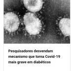 Boas Noticias Covid- 19