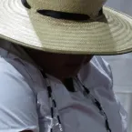 O que os Baianos têm...