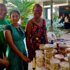Feira no Tribunal de Justi�a MT