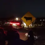 Homem morre em acidente com égua no bairro Saco do Barro