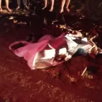 Homem morre em acidente com égua no bairro Saco do Barro