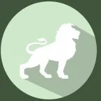 Baralho cigano: veja as previsões da semana para o seu signo