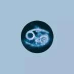 Previsão do baralho cigano para novembro: O que esperar de cada signo