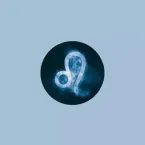 Previsão do baralho cigano para novembro: O que esperar de cada signo