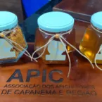Mel de Capanema ganha selo oficial e vira atração turística no Paraná