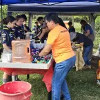 Volunt�rios separam 300 kg de tampinhas para financiar cuidado de animais