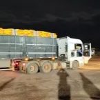 Pol�cia Militar de Mato Grosso Apreende 243 Tabletes de Coca�na em Opera��o na Regi�o de Confresa