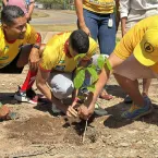 Plantio de �rvores marca a��o do projeto �Salve o Rio Araguaia� em Barra do Gar�as