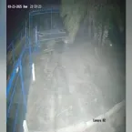 Ataque de on�a: imagens da rotina dos animais passar�o por per�cia