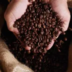 Setor cafeeiro intensifica negocia��es para reverter tarifa dos EUA sobre caf� brasileiro