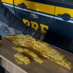 PF investiga duas apreensões recorde de ouro na Amazônia Legal