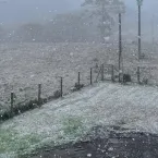 Rio Grande do Sul registra neve em algumas localidades