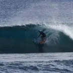 Surfista que teve membros devorados por tubarão-branco gritou em desespero: 'Não me morda!'