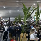 A poucas horas do fim da COP30, negociações prosseguem em Belém
