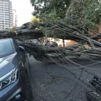 Cinco dias ap�s ciclone, 30 mil clientes est�o sem energia em SP
