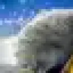 O ano de 2025 pelas lentes da Agência Brasil