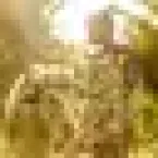 O ano de 2025 pelas lentes da Agência Brasil