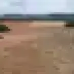 O ano de 2025 pelas lentes da Agência Brasil