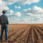 ARTIGO - A safra 2025/2026 e o desafio da gest�o no agroneg�cio