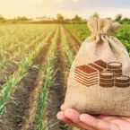 Valora busca R$ 450 milh�es em novo Fiagro