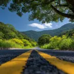 ARTIGO - Dos bandeirantes � supersafra: a voca��o produtiva que moldou o Brasil