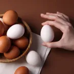 10 alimentos que n�o podem faltar na dieta da mulher