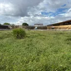 FOTOS: veja como est� o Moren�o ap�s quase 4 anos fechado